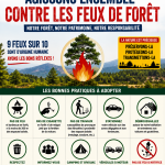 Feux de forêts